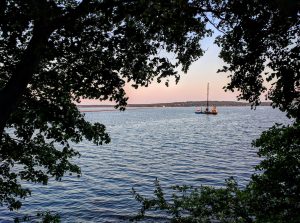 Rockland Harbor Through The Trees - PJ Walter Photography