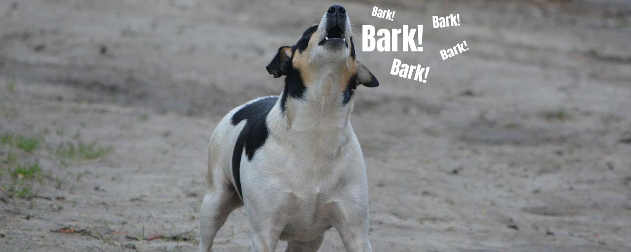 Rockland Animal Control - Barking Dog